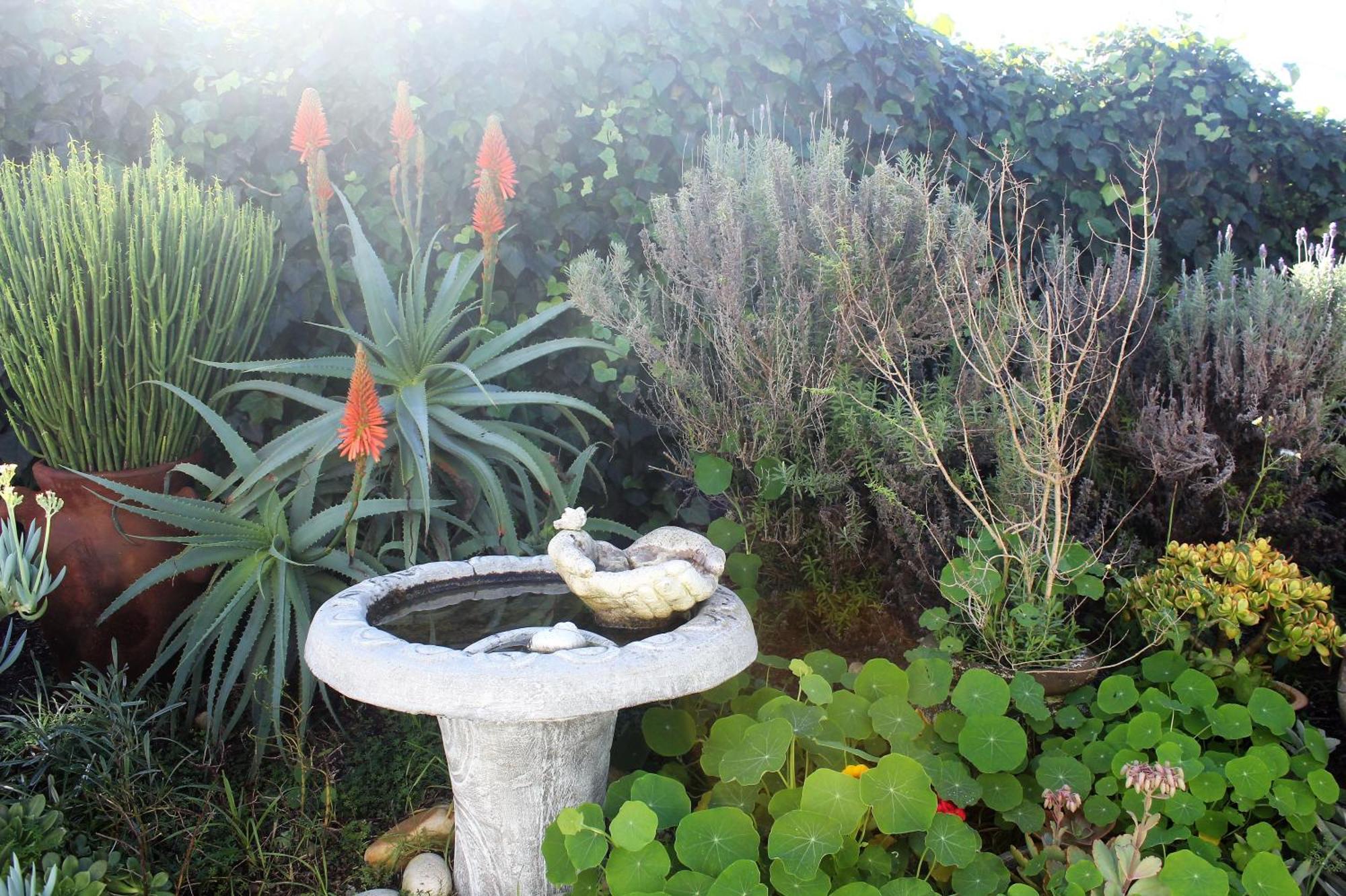 The Sun Catcher Bed & Breakfast Struisbaai Esterno foto