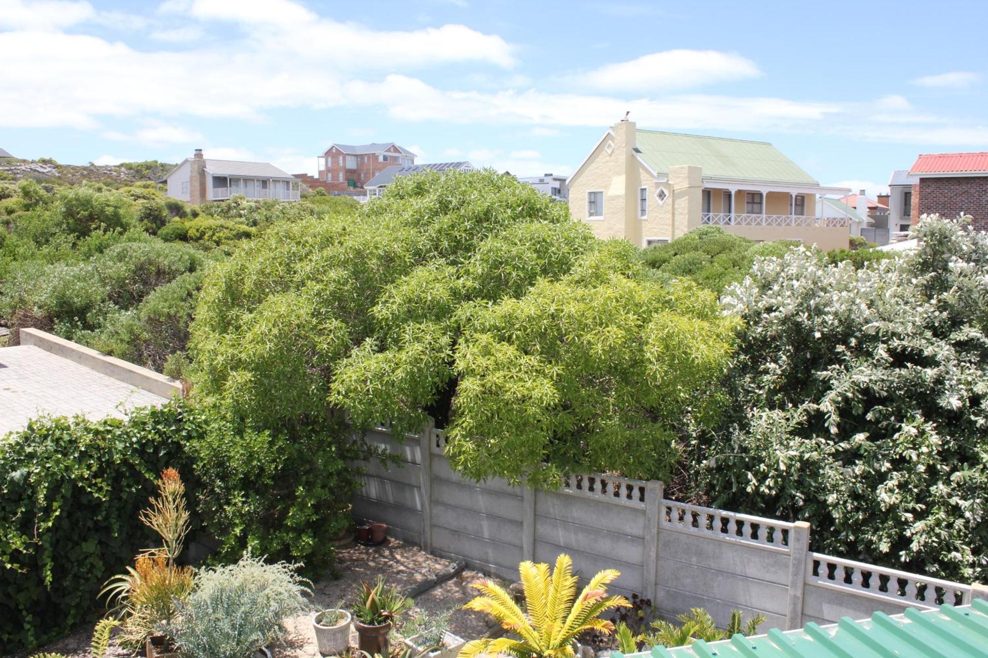 The Sun Catcher Bed & Breakfast Struisbaai Camera foto